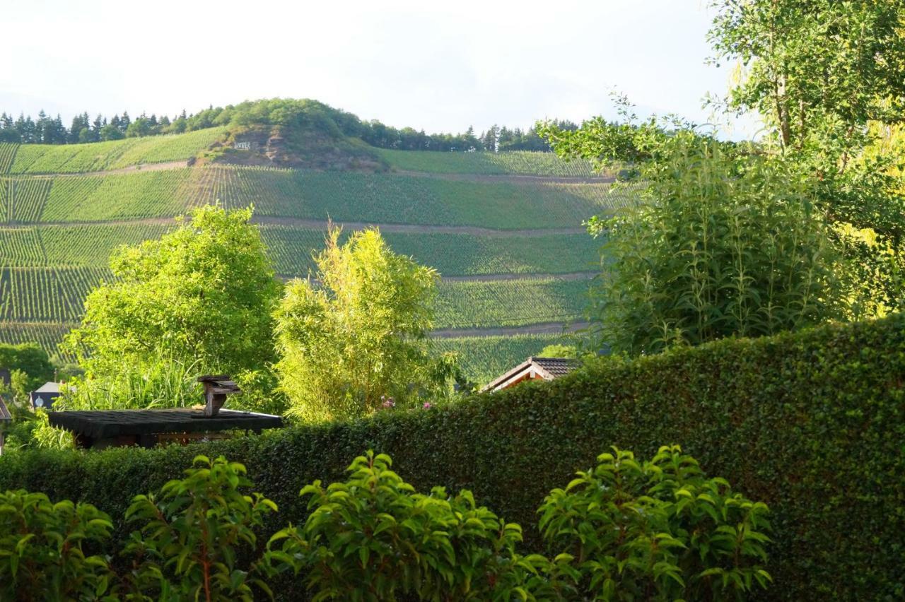 Mosel-Auszeit Apartment Brauneberg Exterior photo